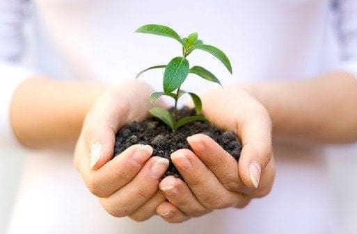 A working mum nurturing a small plant in her hands, gracefully maintaining work-life balance.