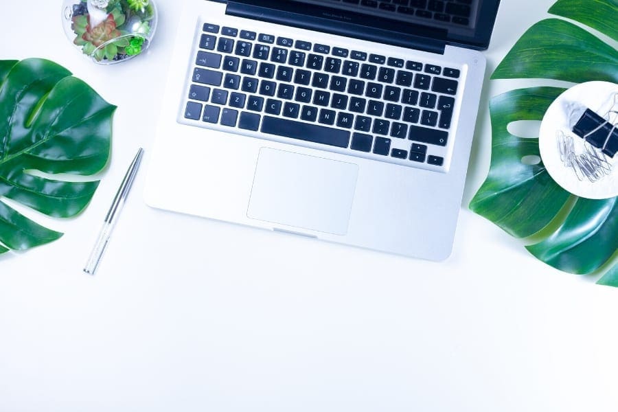 Wellness Business