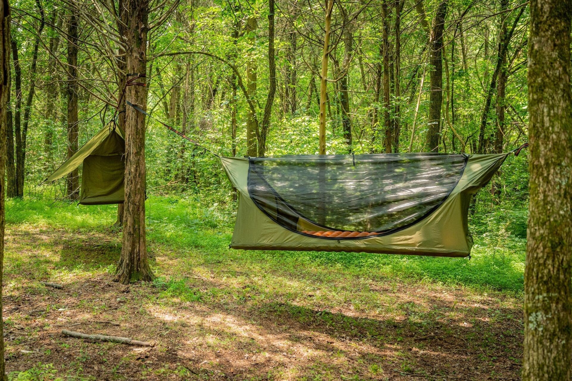 Two green camping hammocks with mosquito nets are suspended between trees in a sunlit forest with lush green foliage.